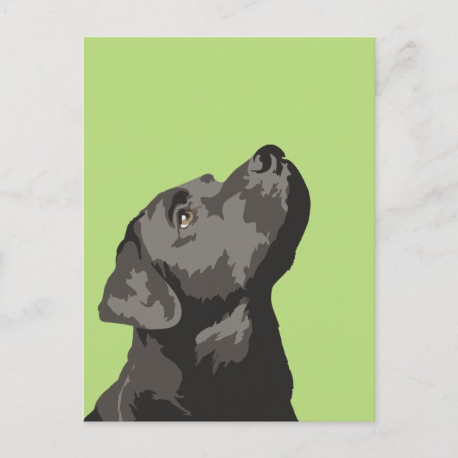 Carte Postale Black Labrador (Choisissez Votre Pro (Devant)