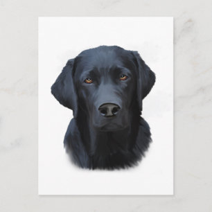 Carte Postale Black Labrador Dog Water Couleur Art Peinture