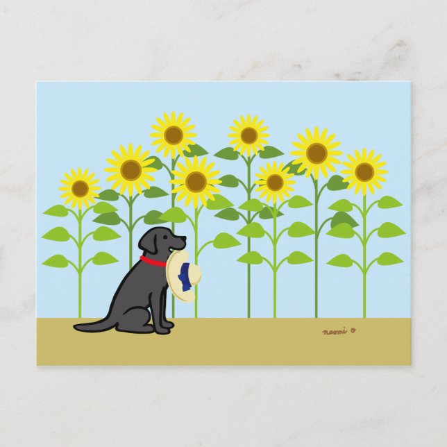 Carte Postale Black Labrador et Sunflower été (Devant)
