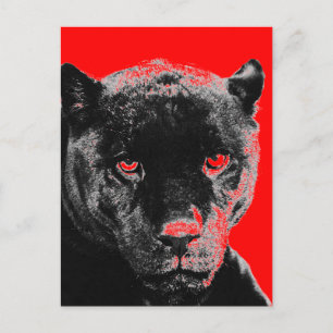 Carte Postale Black Panther Jaguar Postcard