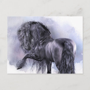 Carte postale Black Pearl