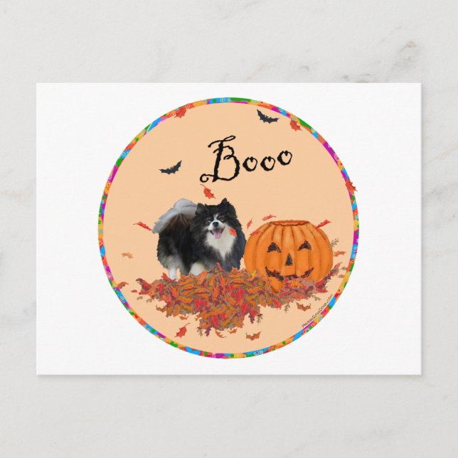 Carte Postale Black Pomeranian Halloween (Devant)