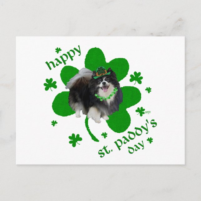 Carte Postale Black Pomeranian St Patrick Jour (Devant)
