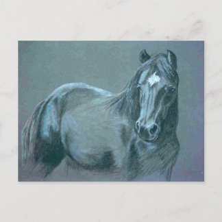 Carte postale Black Pony