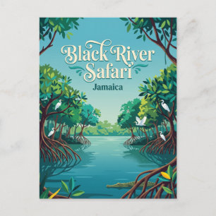 Carte Postale Black River Safari, Jamaïque Jamaïque