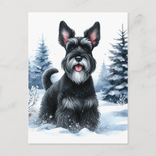 Carte Postale Black Schnauzer Winter Watercolor Art (Devant)