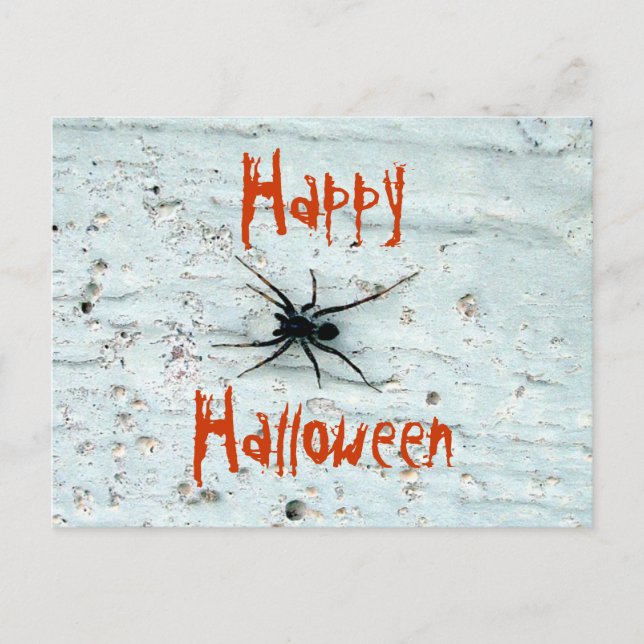 Carte postale Black Spider (Devant)