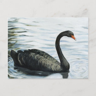 Carte postale "Black Swan" Bird Art Reproduction