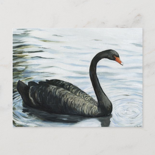 Carte postale "Black Swan" Bird Art Reproduction (Devant)