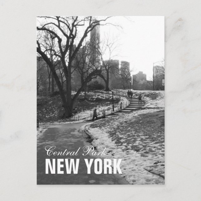 Carte Postale Black White Central Park New York (Devant)
