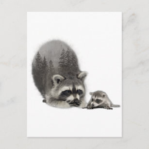 Carte Postale Black White Cute Raccoon avec bébé