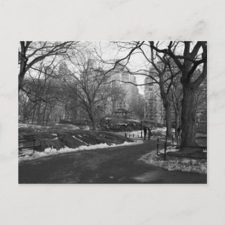 Carte Postale Black White NY Central Park
