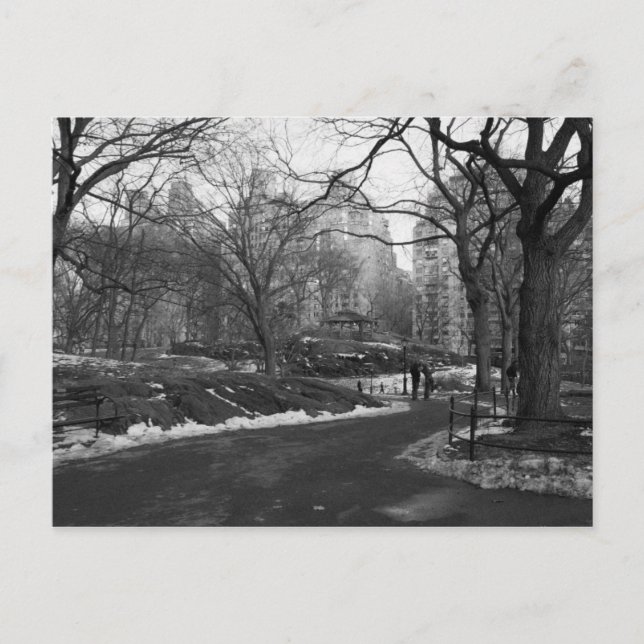 Carte Postale Black White NY Central Park (Devant)