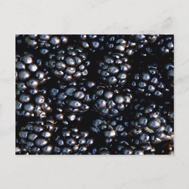 Carte Postale Blackberry (Devant)