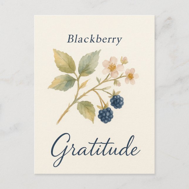 Carte Postale Blackberry — Gratitude Postcard (Devant)