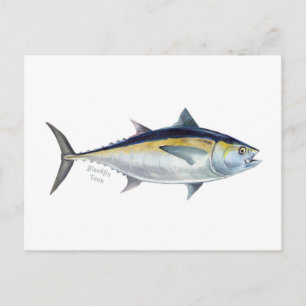 Carte postale Blackfin Tuna.