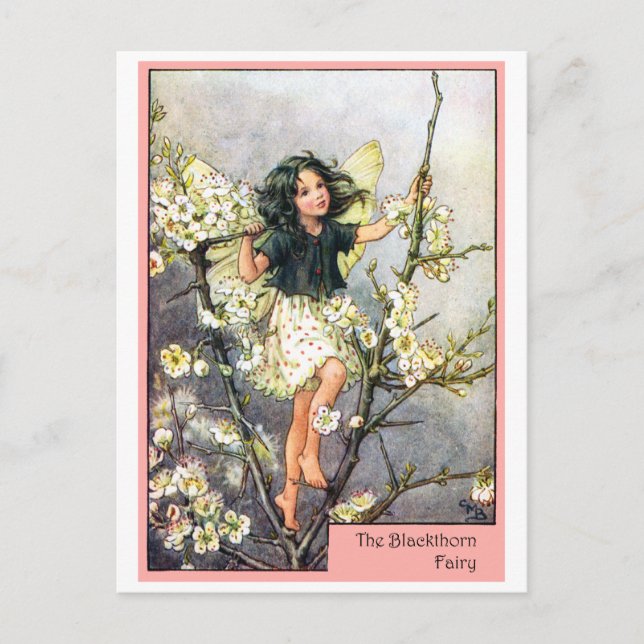 Carte Postale Blackthorn Fairy (Devant)