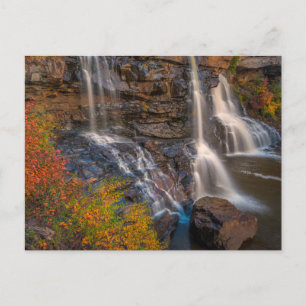 Carte Postale Blackwater Falls State Park   Virginie-Occidentale