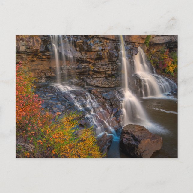 Carte Postale Blackwater Falls State Park | Virginie-Occidentale (Devant)