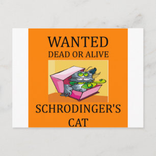 Carte Postale blague de chat de schrodinger
