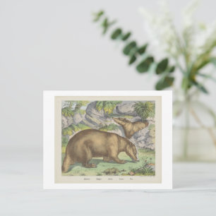 Carte Postale BLAIREAU Joseph Scholz, 1829 - 1880  