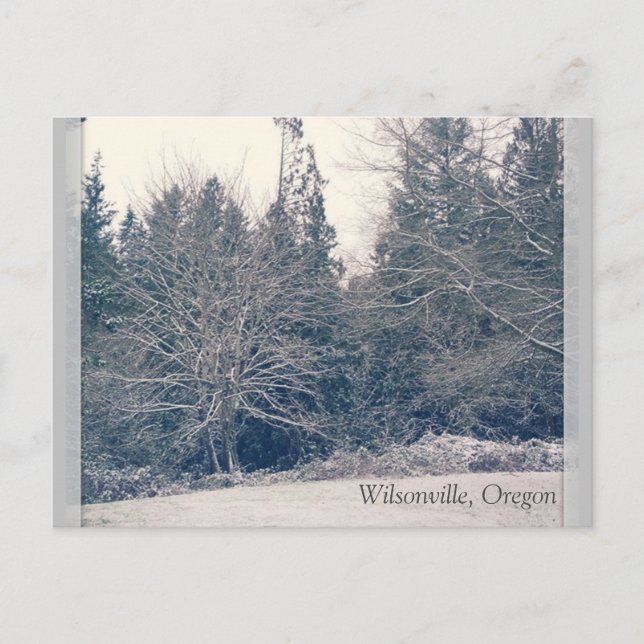 Carte Postale Blanc d'hiver (Devant)