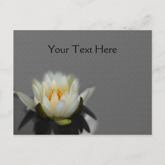 Carte Postale Blanc Lotus Water Lily Fleur Nature