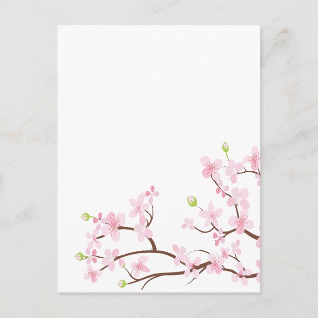 Carte postale blanche en fleurs de cerisier rose (Devant)