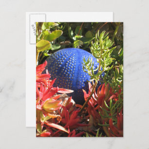 Carte postale blanche Succulente Plante Garden