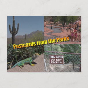 Carte Postale Blank Postcard