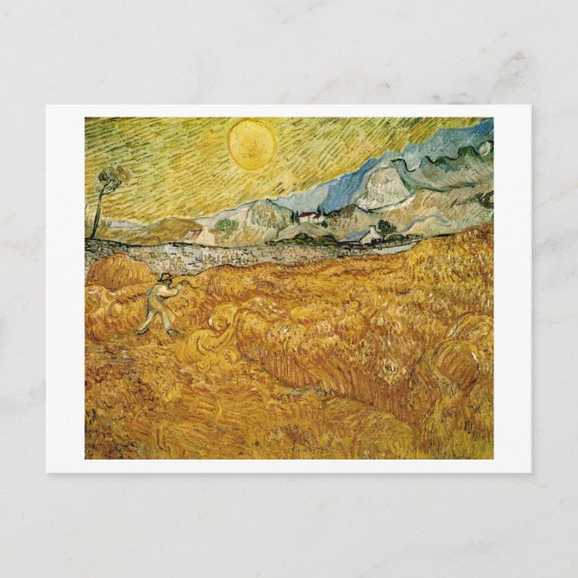 Carte Postale Blé Fields Hospital Reaper Van Gogh Fine Art (Devant)
