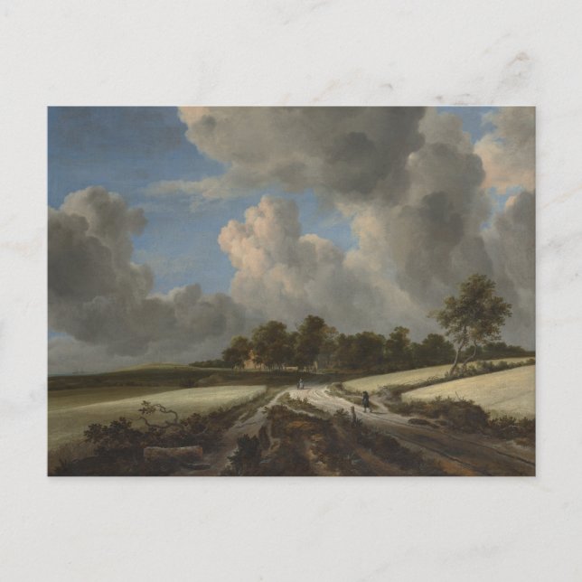 Carte Postale Blé Fields par Jacob van Ruisdael Art Imprimer (Devant)