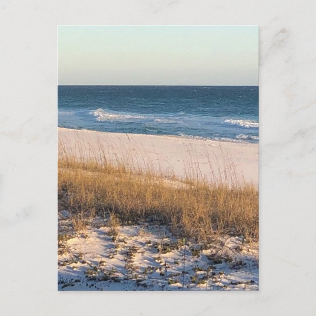 Carte Postale Bleu (Devant)