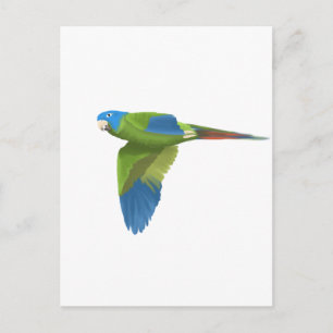 Carte Postale Bleu-couronné Conure