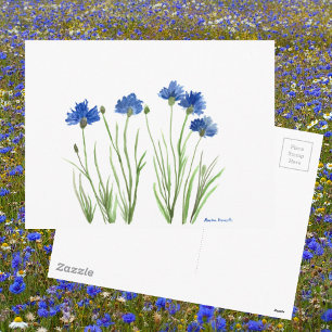 Carte Postale Bleu floral chic rustique aquarelle Cornflowers