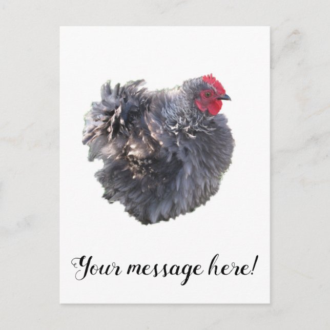 Carte Postale Bleu Fouet Cutest Cochin Bantam Rooster poulet (Devant)