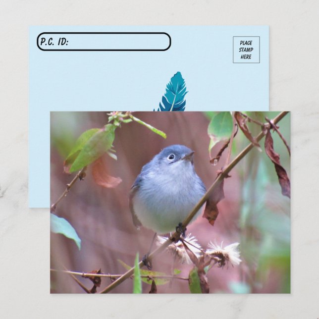 Carte Postale Bleu gris gris-gris Jardin Oiseau (Devant / Derrière)