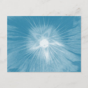 Carte postale bleu Hollyhock Flower Icy