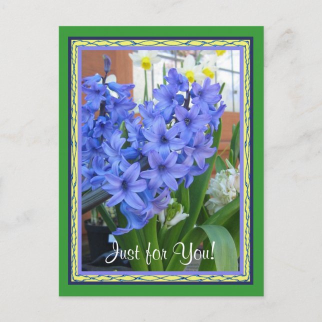 Carte Postale bleu hyacinthe (Devant)