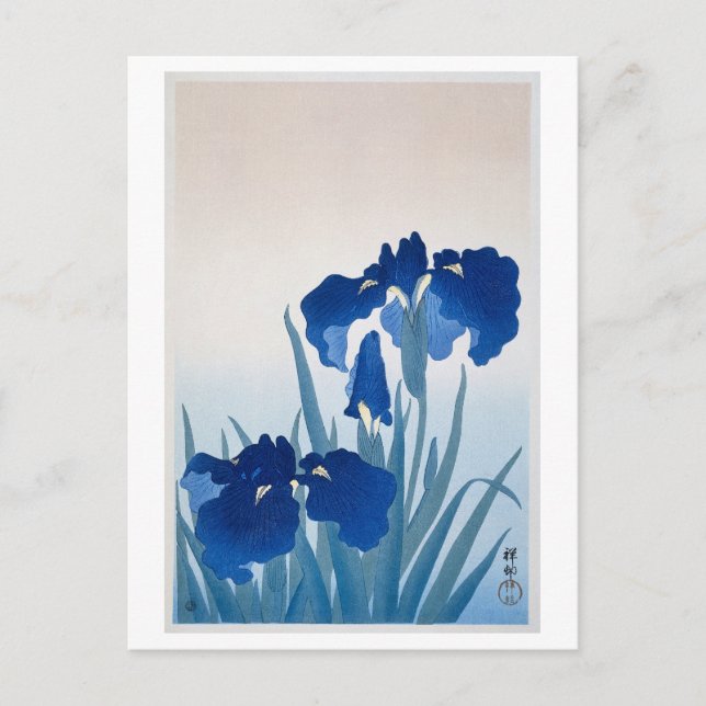 Carte Postale Bleu Iris Bois Japonais Imprimer Vintage (Devant)