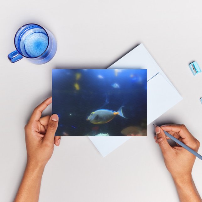 Carte Postale Bleu-jaune poisson tropical (Créateur téléchargé)