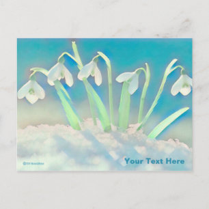 Carte Postale Bleu neige