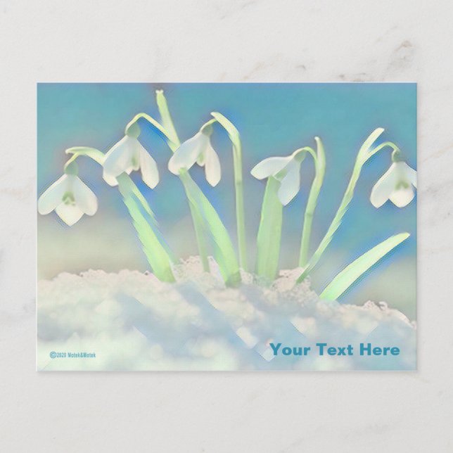 Carte Postale Bleu neige (Devant)