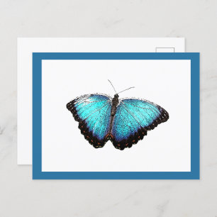 Carte Postale Bleu Papillon Bleu Belle Nature Art Photographie