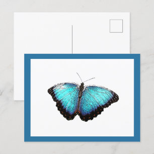 Carte Postale Bleu Papillon Nature Art, Belle Photo Illustration