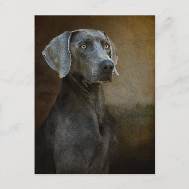 Carte postale bleu Renaissance (Devant)