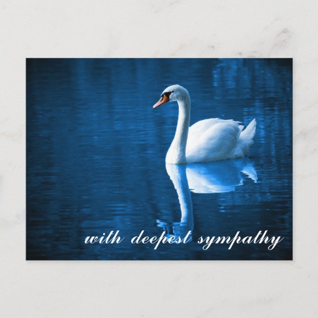 Carte Postale Bleu sentimental Sympathie cygne aux eaux calmes (Devant)