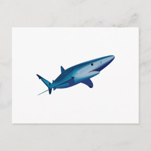 CARTE POSTALE BLEU SHARK