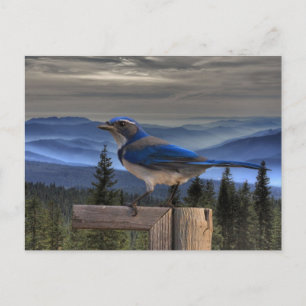 CARTE POSTALE BLEU SUR BLEU