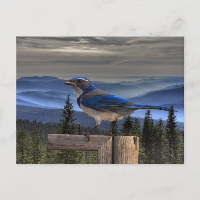 CARTE POSTALE BLEU SUR BLEU (Devant)